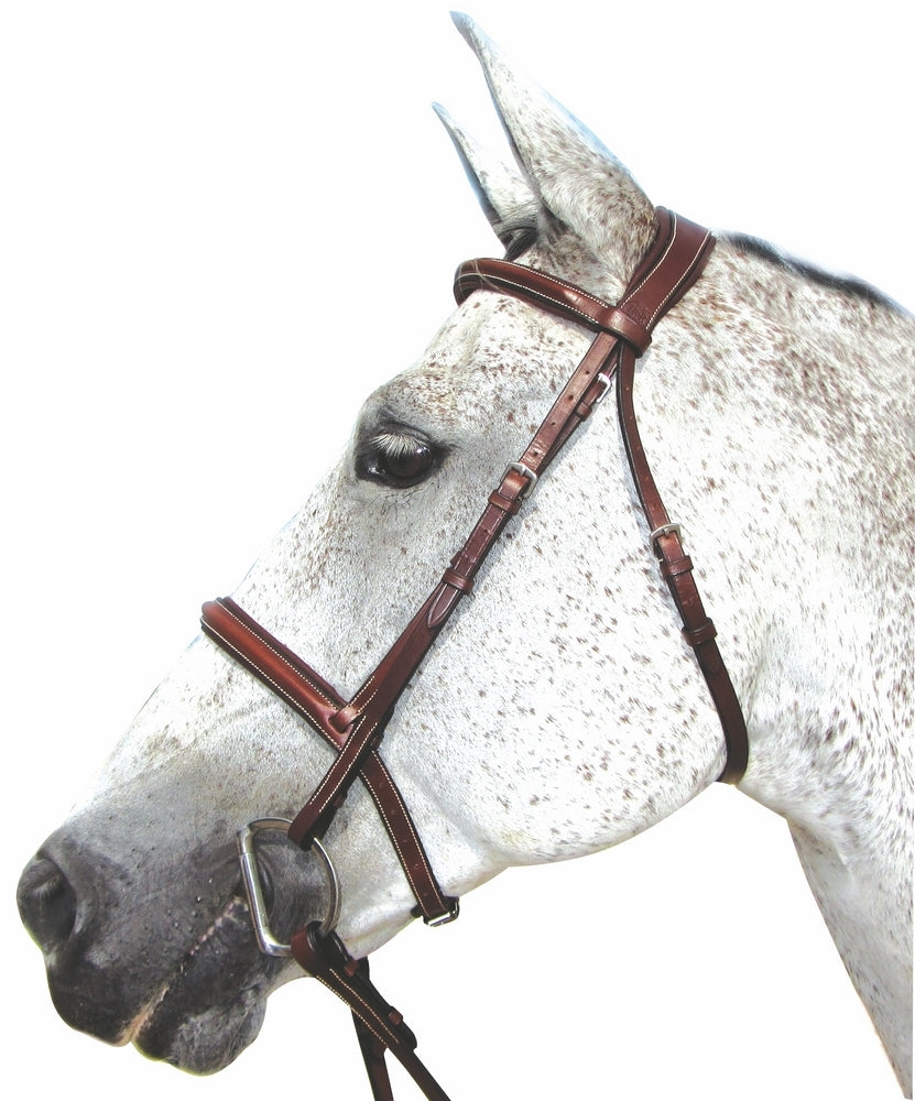 Henri de Rivel Pro Mono Crown Padded Bridle _2