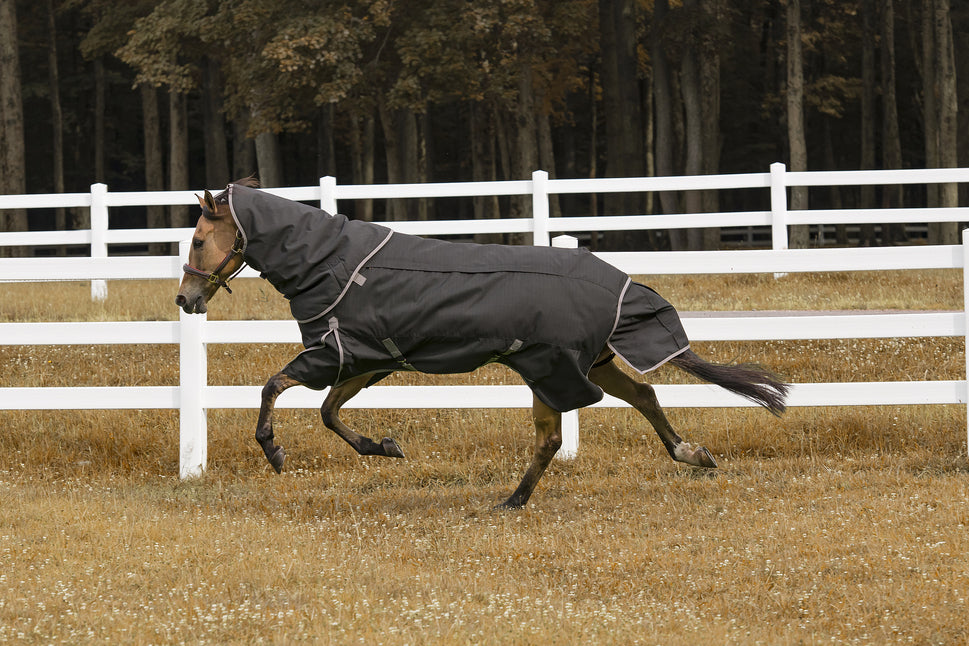 TuffRider All Season Blanket_3