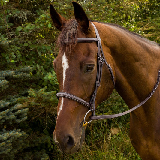 Henri de Rivel Advantage Fancy Raised Padded Bridle With Laced Reins_2