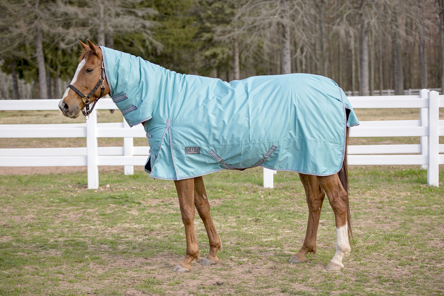 TuffRider 600 D COMFY WINTER MEDIUM WEIGHT TURNOUT BLANKET W/ COMBO NECK 200 GSM