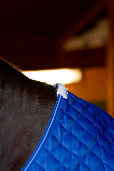 TuffRider Kozy Komfort Two Stable Blanket-420 D 200 GSM of fill