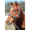 TuffRider Nylon Breakaway Halter & Lead Rope Set