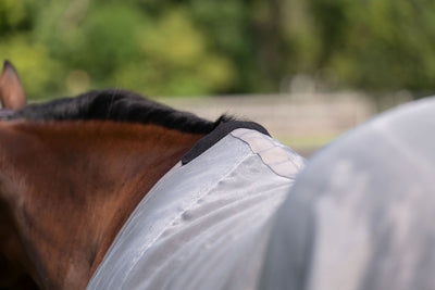 TuffRider NevaTear Technical Standard Neck Fly Sheet