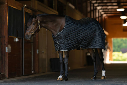 TuffRider Kozy Komfort Stable Blanket With Diamond Quilting -420 D 200 GSM of fill