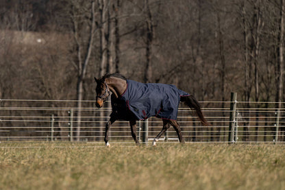 TuffRider Ripstop Standard Neck LightWeight Turnout Blanket with 100 GSM Fill - JPC Equestrian.com