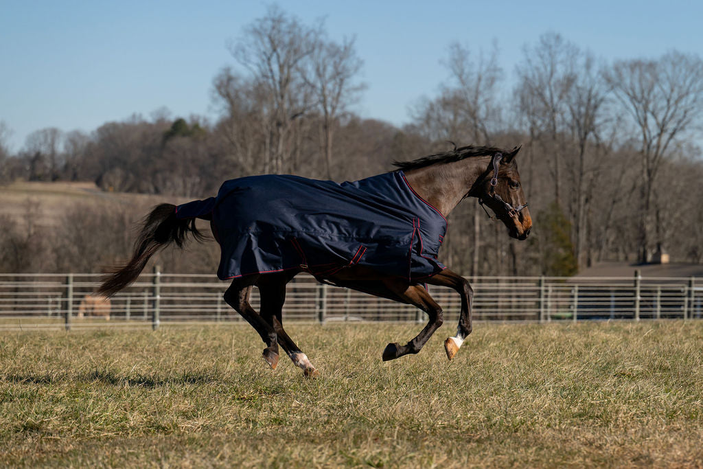TuffRider Ripstop Standard Neck LightWeight Turnout Blanket with 100 GSM Fill - JPC Equestrian.com