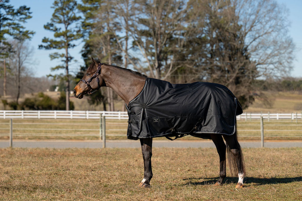 TuffRider Ripstop Standard Neck LightWeight Turnout Blanket with 100 GSM Fill - JPC Equestrian.com
