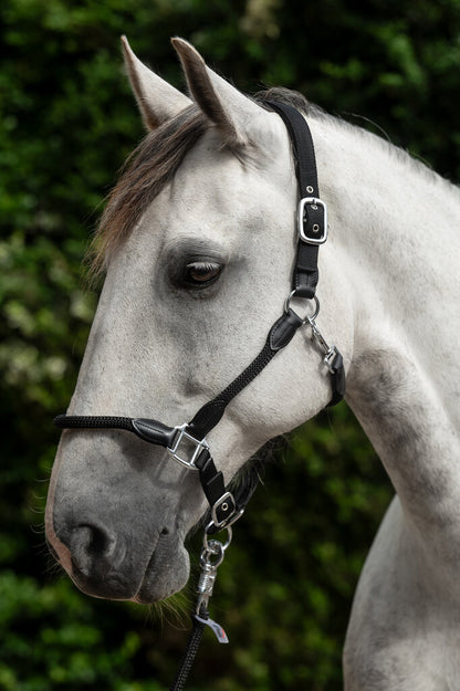 HKM Carlotta Head Collar - JPC Equestrian.com