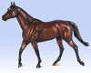Breyer Cody's Wish - Race Horse