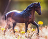 Breyer Vivaldi de Besilu Champion Paso Fino