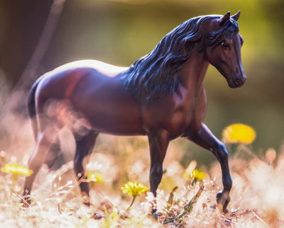 Breyer Vivaldi de Besilu Champion Paso Fino