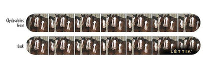 Lettia Nail File- JPC Equestrian.com