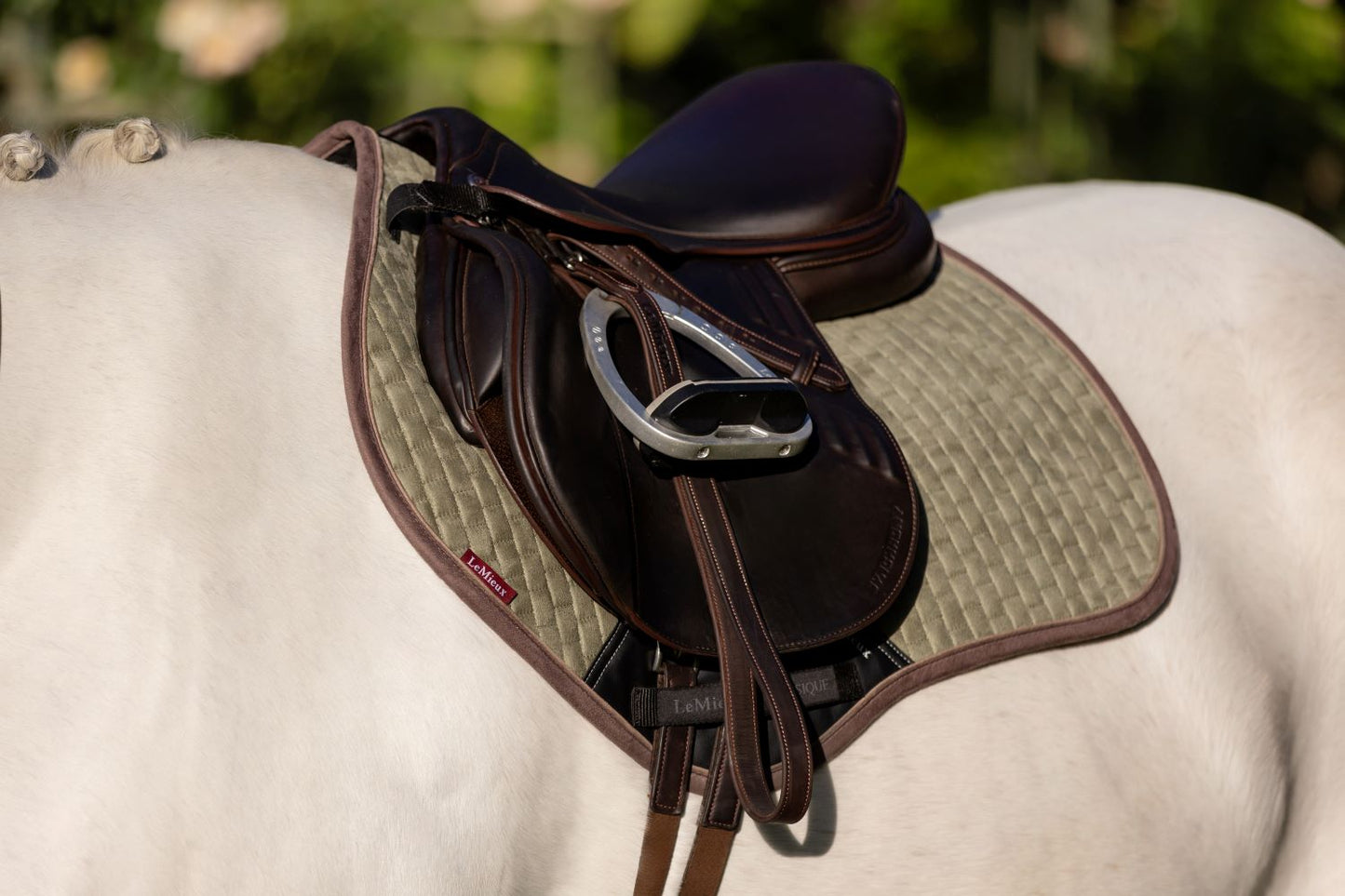 Lemieux Suede Close Contact Square Saddle pad