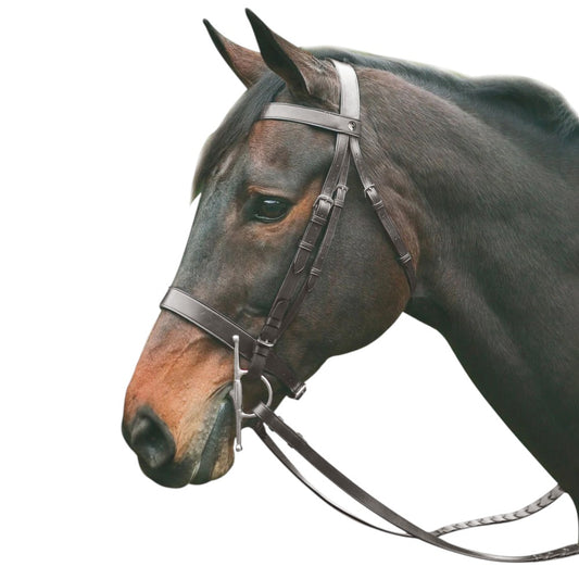 HENRI DE RIVEL POLO BRIDLE WITH DOUBLE REINS