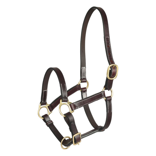 Henri de Rivel Pre Oiled Leather Halter With White Stitching Without Snap 