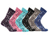 AWST Int'l Lucky Horseshoes Socks 6 pack