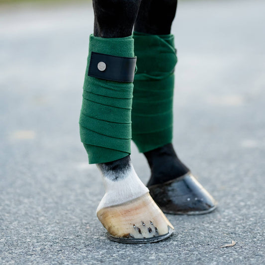 Dapplebay  Sport Polo Wraps - Evergreen - JPC Equestrian.com