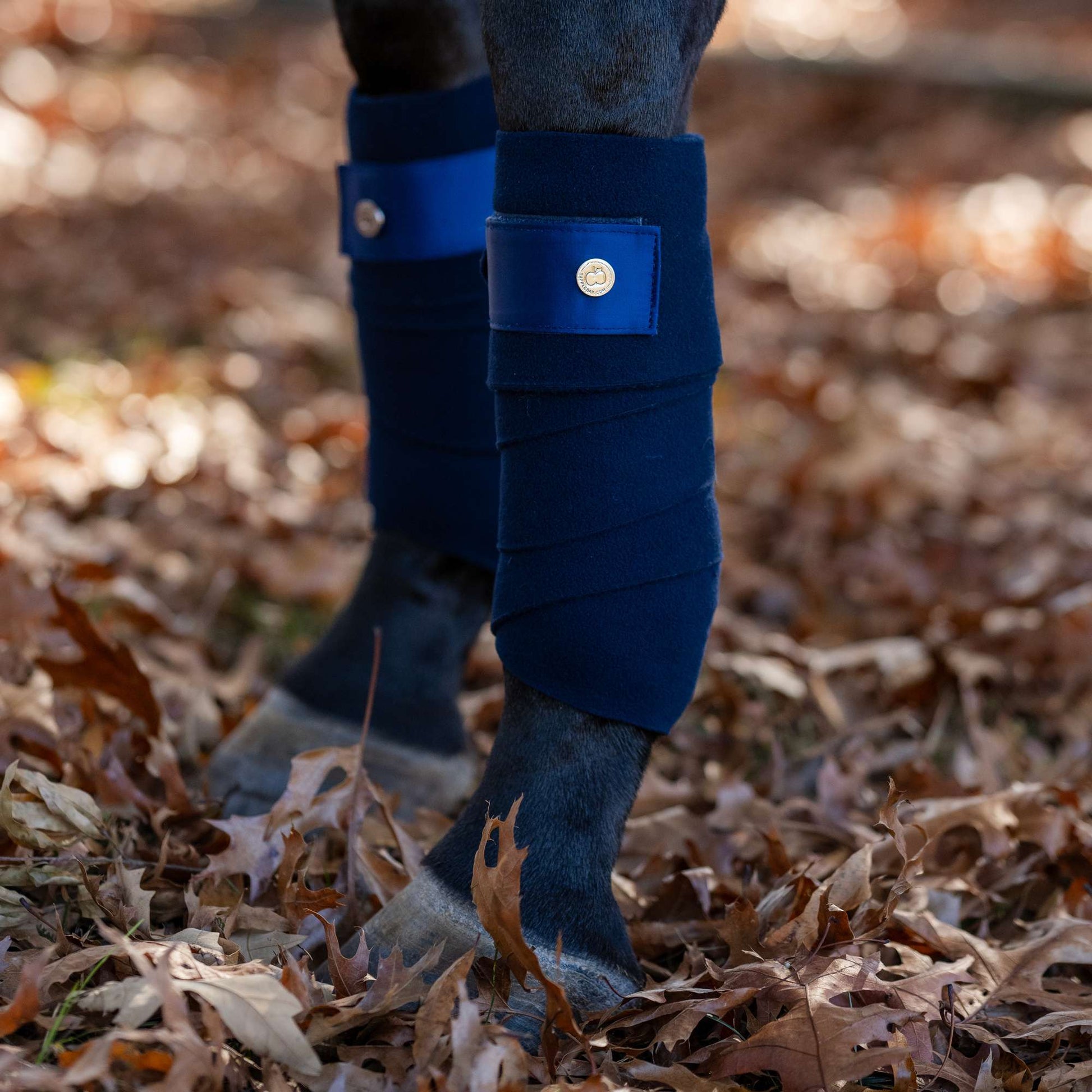 Dapplebay  Sport Polo Wraps - Midnight - JPC Equestrian.com