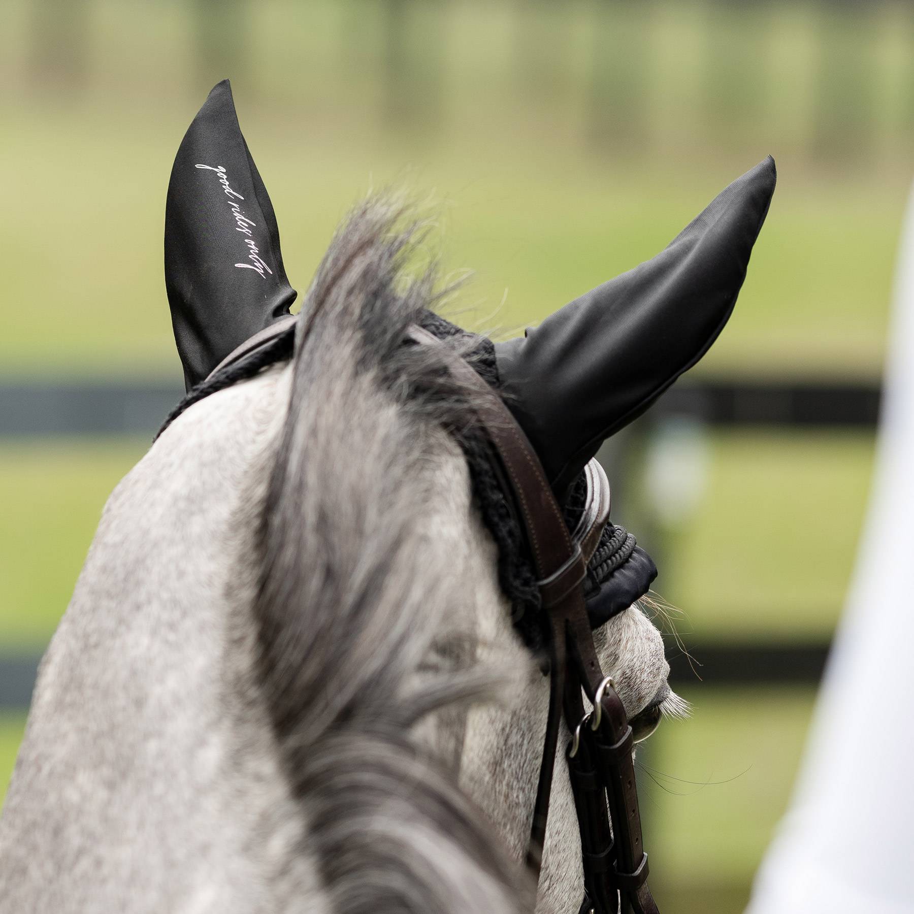 Dapplebay  Sport Fly Veil - Black - JPC Equestrian.com