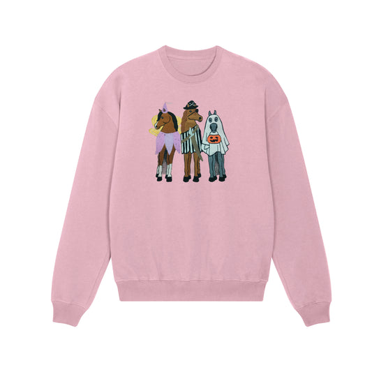 Dapplebay Ladies Trick Or Treat Sweatshirt
