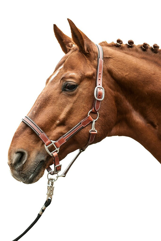 HKM Leather Head Collar -Soft-Brown - JPC Equestrian.com