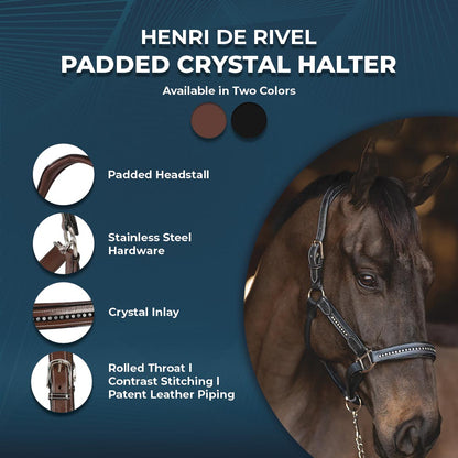 Henri de Rivel Padded Crystal Halter