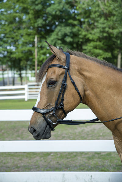 Henri de Rivel Pro Anatomical Bridle_2