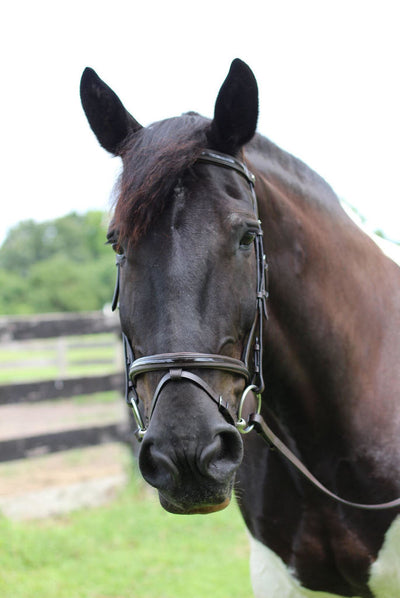 Henri de Rivel Pro Piaffe Mono Crown Bridle with Flash Noseband with Patent Leather and webbed rubber reins with leather stops_4