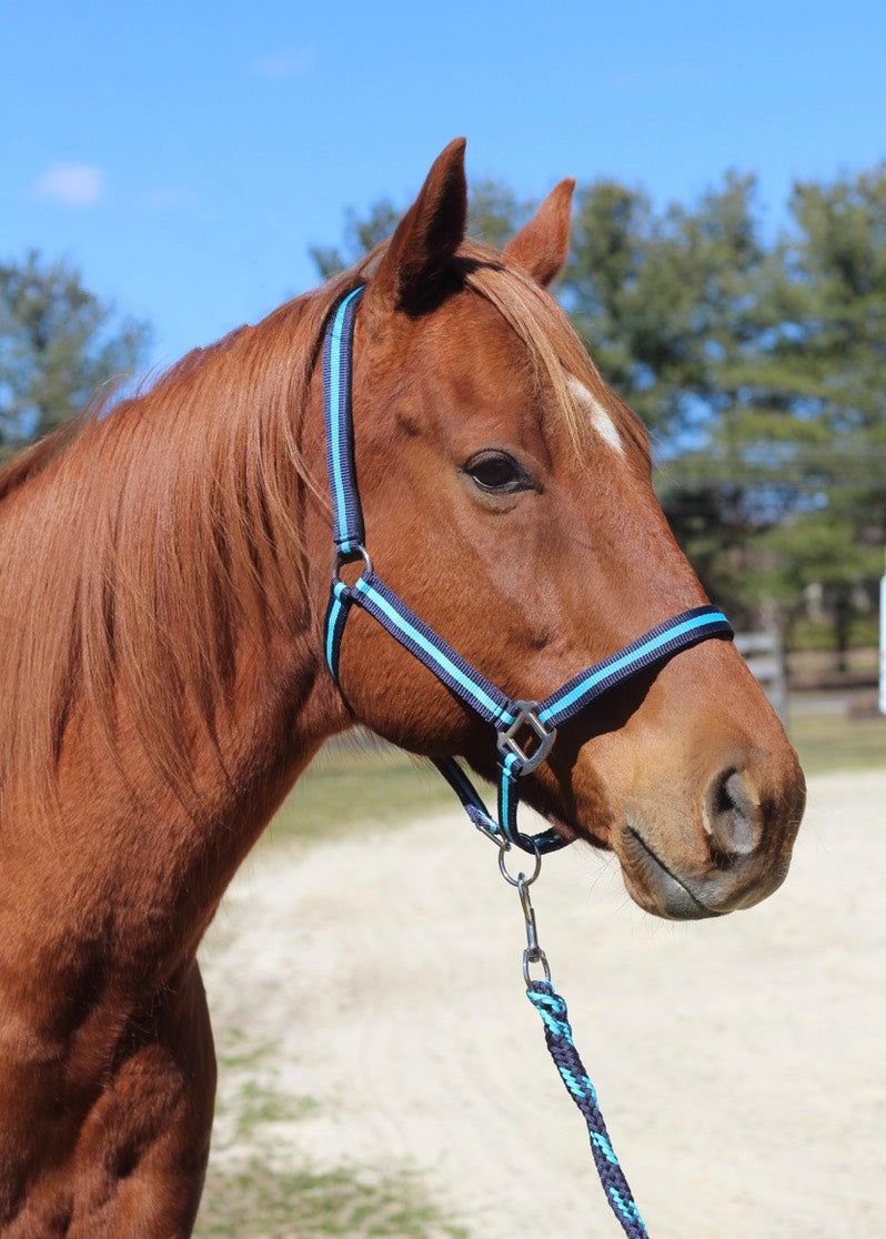 TuffRider Nylon Breakaway Halter & Lead Set_5166