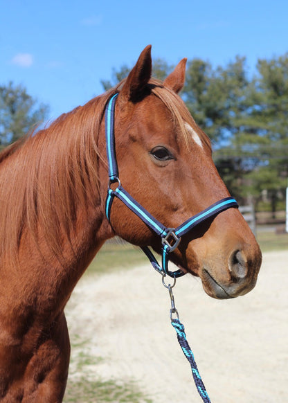 TuffRider Nylon Breakaway Halter & Lead Set_5166