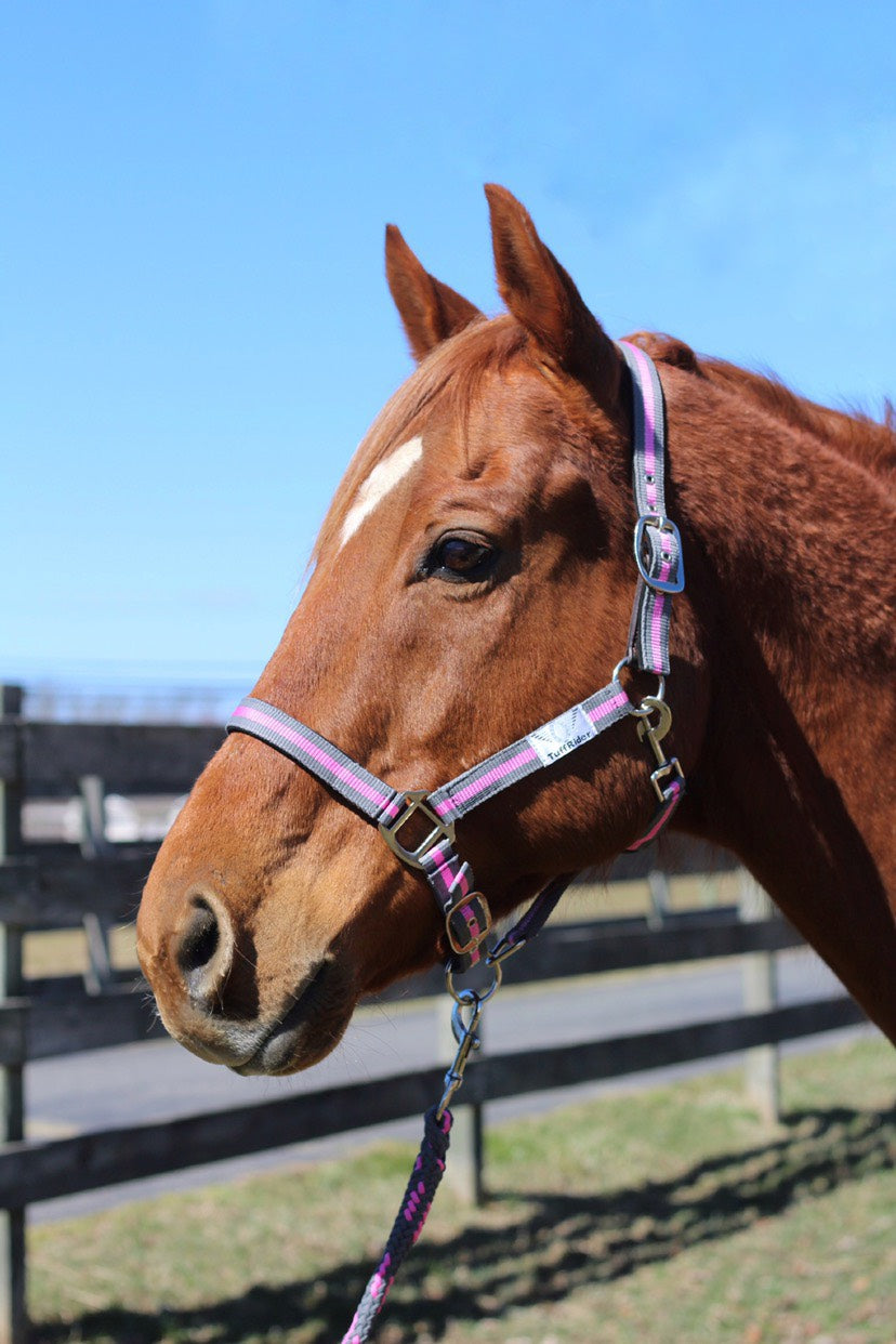 TuffRider Nylon Breakaway Halter & Lead Set_5161