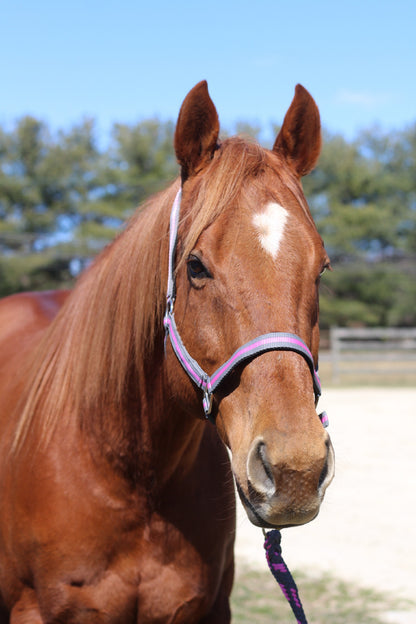 TuffRider Nylon Breakaway Halter & Lead Set_5160