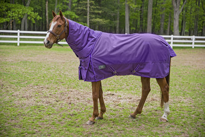 TuffRider 1680 D Super Comfy Winter Turnout Blanket Heavy Weight 350 GSM Detachable Neck