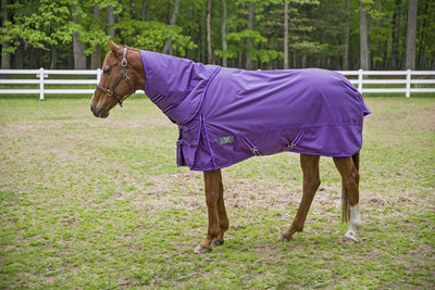 TuffRider 1680 D Super Comfy Winter Turnout Blanket Heavy Weight 350 GSM Detachable Neck