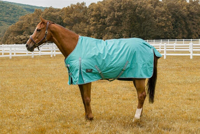 Tuffrider 600 D Comfy Winter Blanket_1