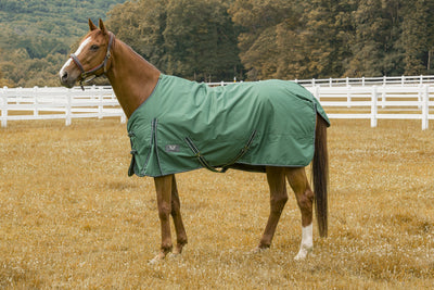 Tuffrider 600 D Comfy Winter Blanket_3