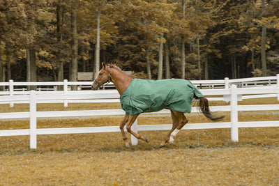 Tuffrider 600 D Comfy Winter Blanket_4