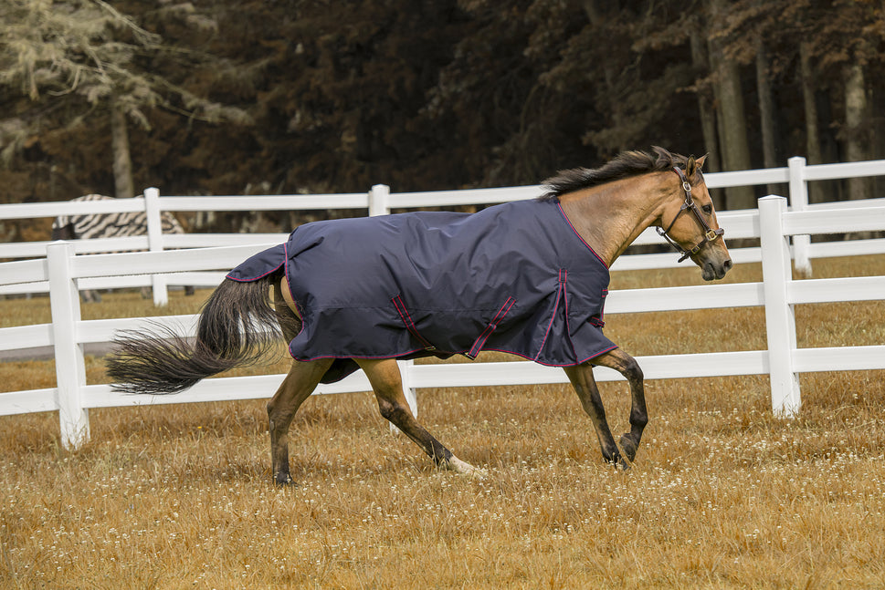 Tuffrider 600 D Comfy Winter Blanket_5