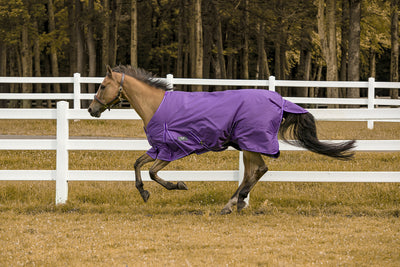 Tuffrider 600 D Comfy Winter Blanket_8