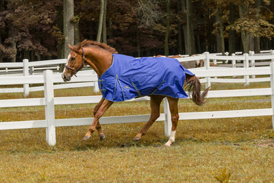 Tuffrider 600 D Comfy Winter Blanket_9