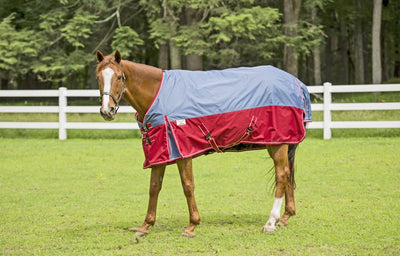 Tuffrider Bonum 600D Rip Stop Standard Neck Blanket