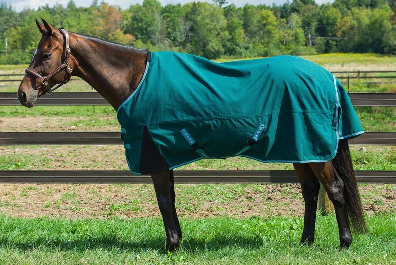 TuffRider Bonum 1200D Ripstop Coolmax Lightweight 3 Season Turnout Sheet_2973