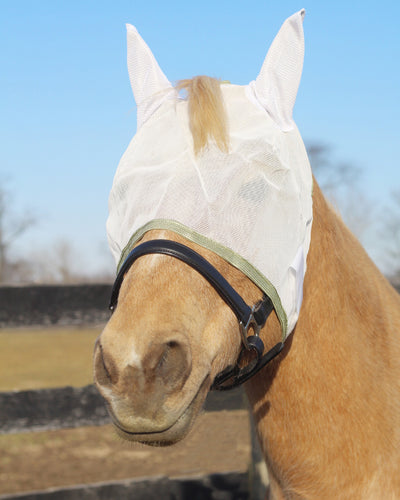 TuffRider Fly Masks with Ears_3037