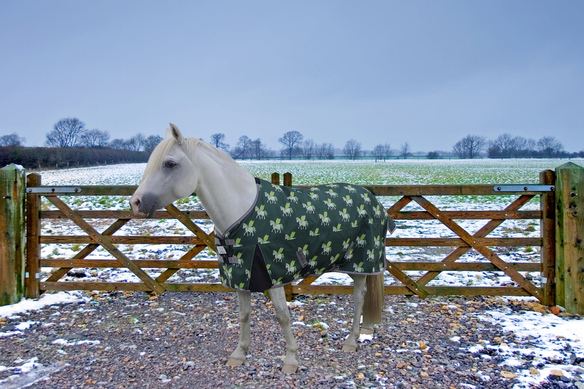 TuffRider 1200D Ripstop 220 GMS Polyfill Pony Horse Print Standard Neck Two Tone Pony Turnout Blanket_3007