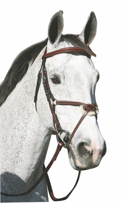 Henri de Rivel Pro Mono Crown Raised Figure Eight Bridle with Rubber Reins_1895