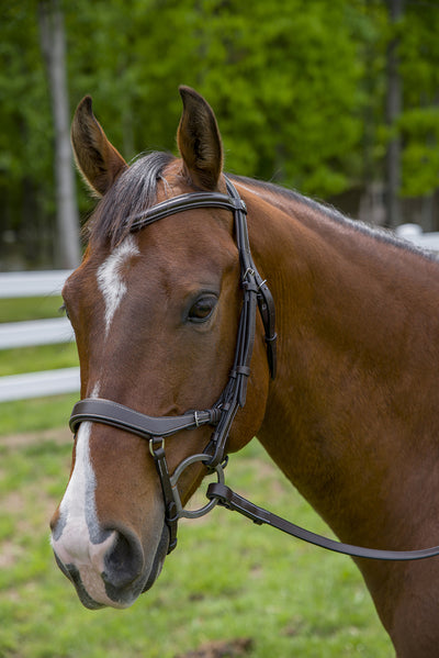 Henri de Rivel Pro Anatomical Bridle_1