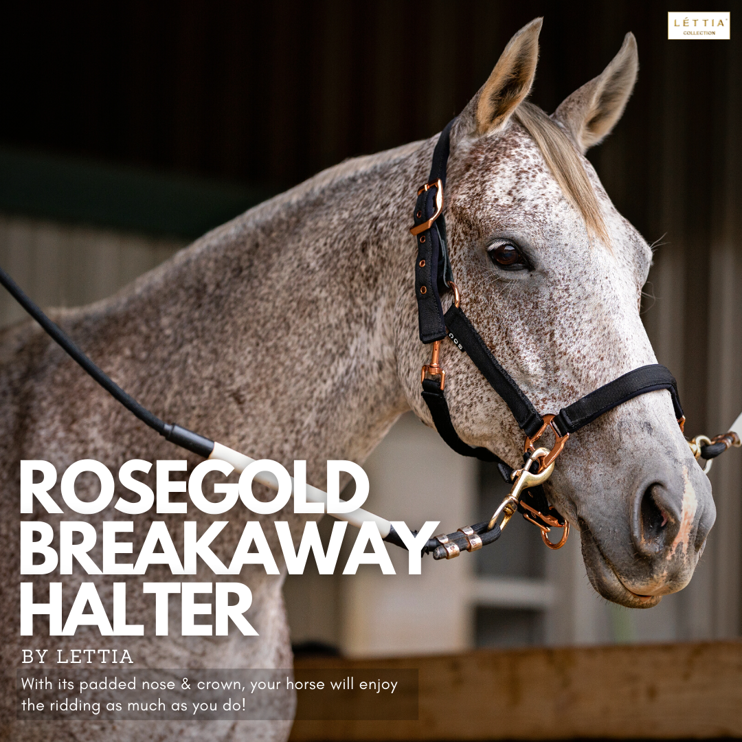 Lettia Rosegold Padded Leather Breakaway Halter