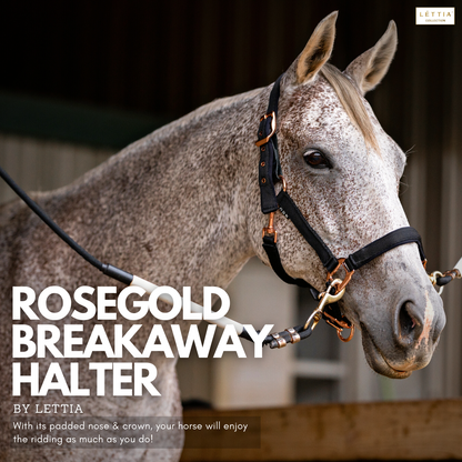 Lettia Rosegold Padded Leather Breakaway Halter