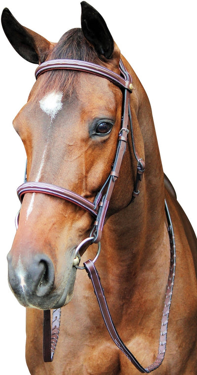 Henri de Rivel Pro Fancy Raised Comfort Crown Padded Bridle With Fancy Raised Reins_1848