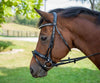 Henri de Rivel Diamonte Dressage Bridle_1